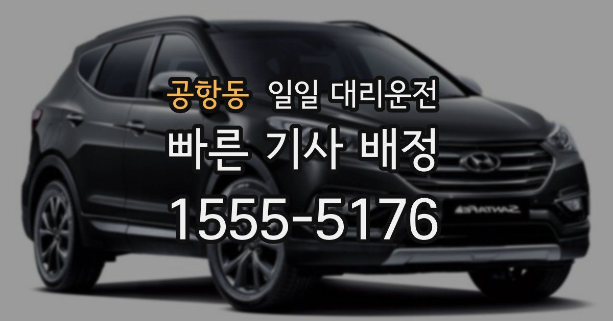 공항동 일일 대리운전