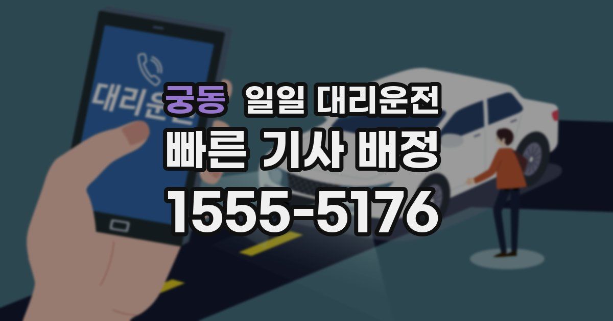 궁동 일일 대리운전
