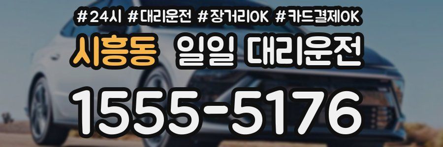 시흥동 일일 대리운전