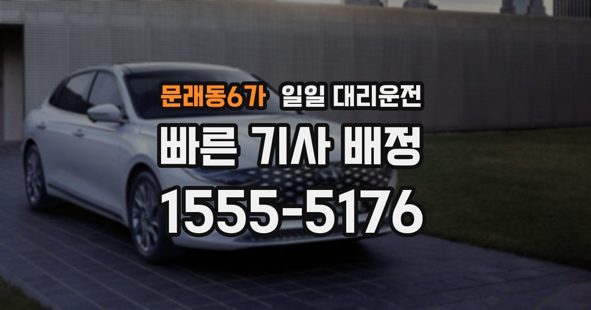 문래동6가 일일 대리운전