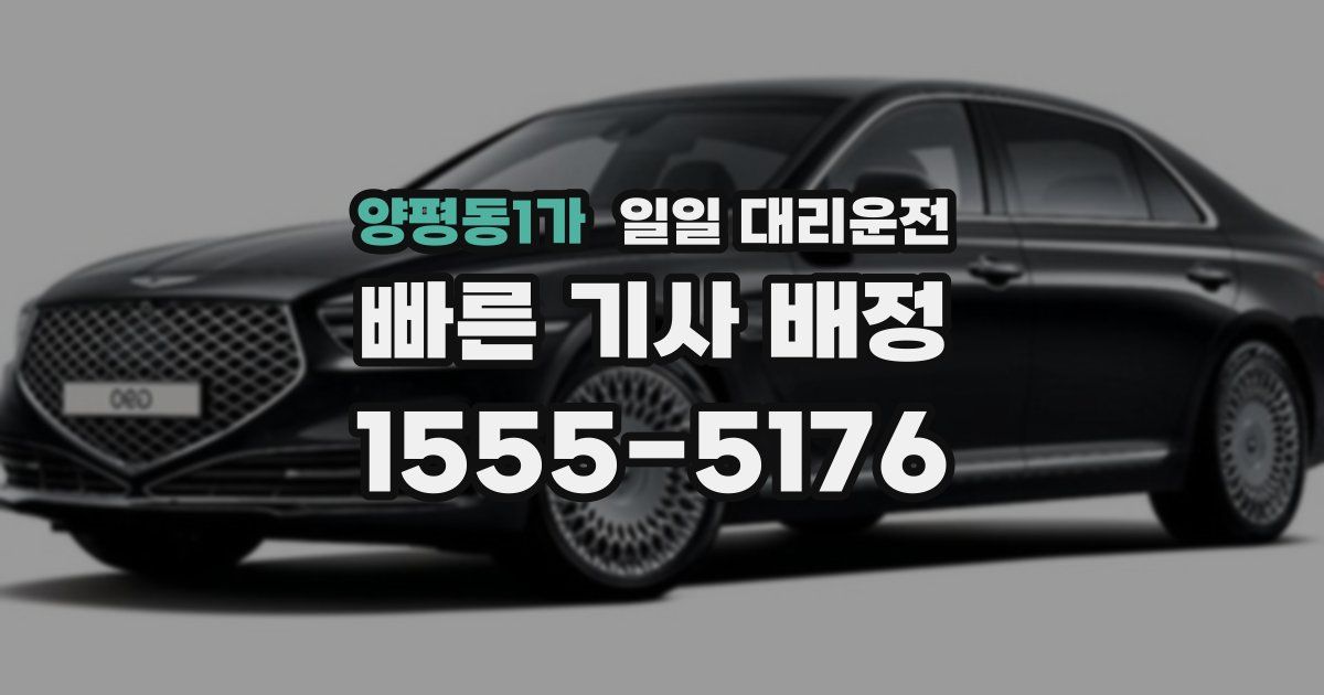 양평동1가 일일 대리운전