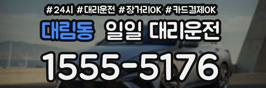 대림동 일일 대리운전