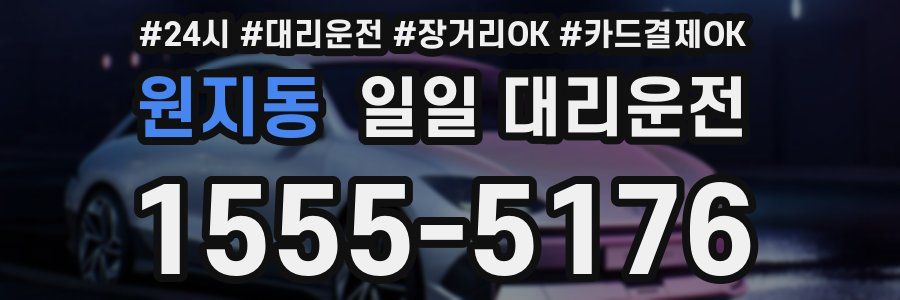 원지동 일일 대리운전