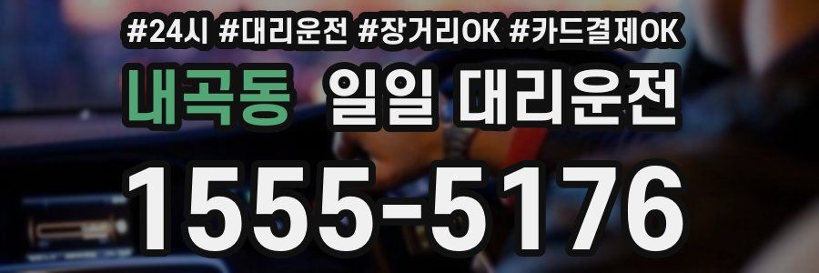 내곡동 일일 대리운전