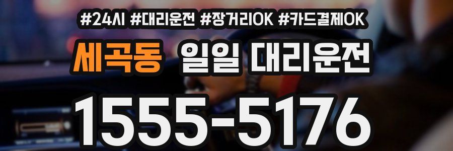 세곡동 일일 대리운전