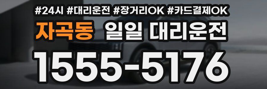 자곡동 일일 대리운전