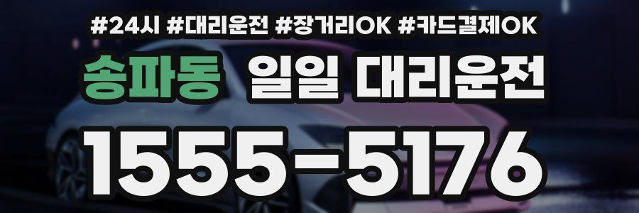 송파동 일일 대리운전