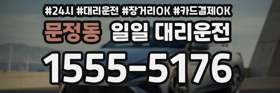 문정동 일일 대리운전
