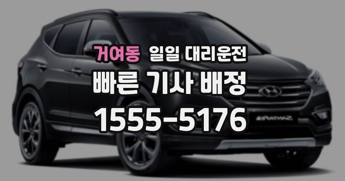 거여동 일일 대리운전