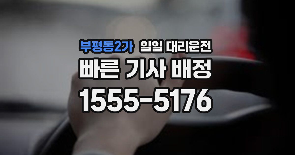 부평동2가 일일 대리운전