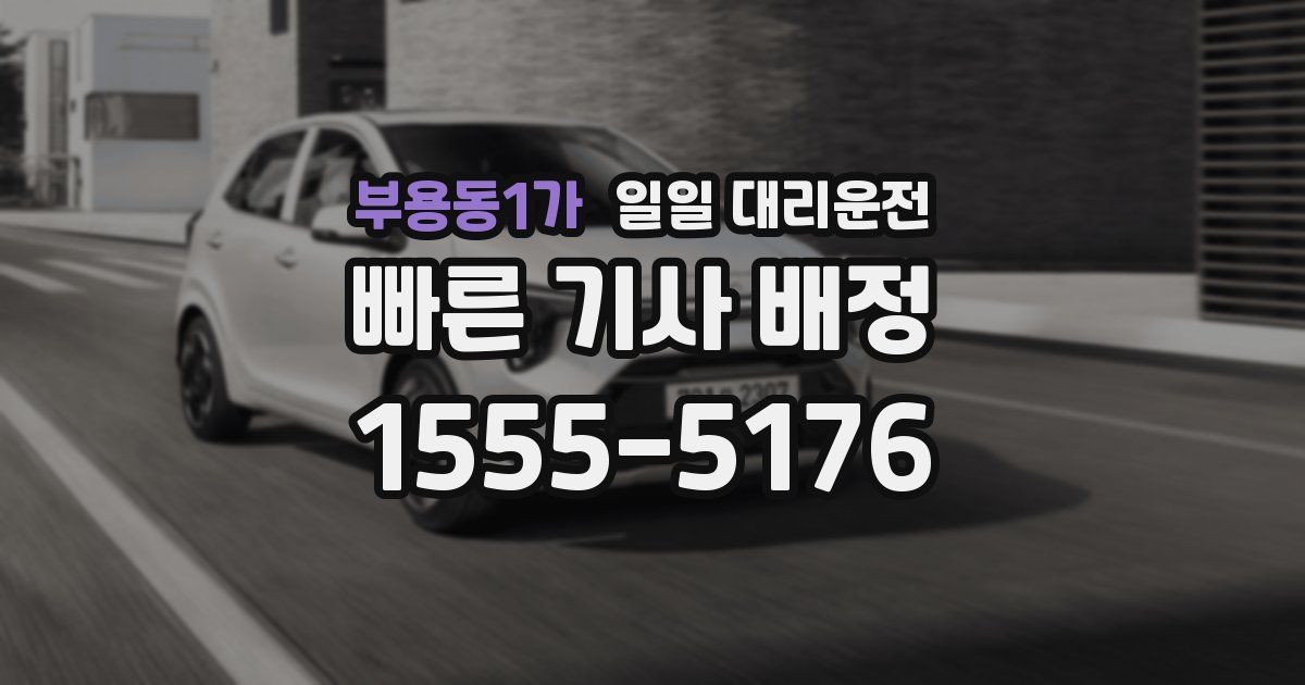 부용동1가 일일 대리운전