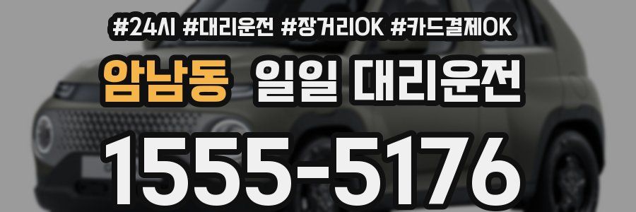 암남동 일일 대리운전