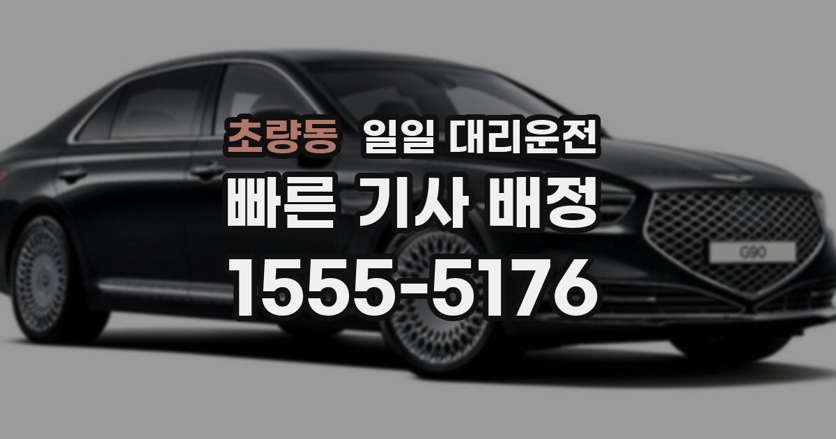 초량동 일일 대리운전