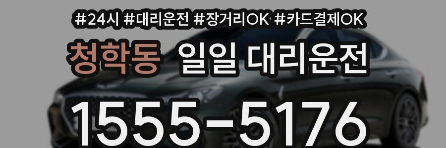 청학동 일일 대리운전