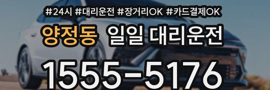 양정동 일일 대리운전