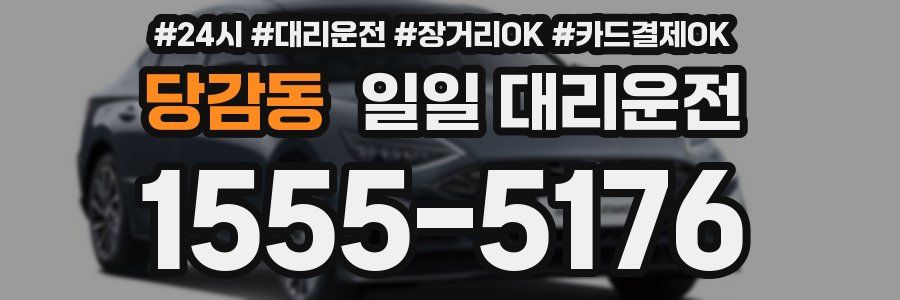 당감동 일일 대리운전