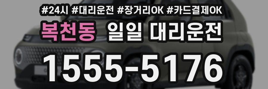 복천동 일일 대리운전