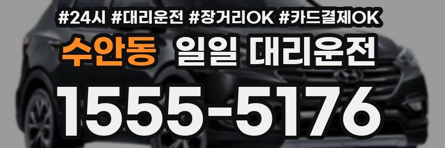 수안동 일일 대리운전