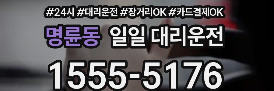 명륜동 일일 대리운전