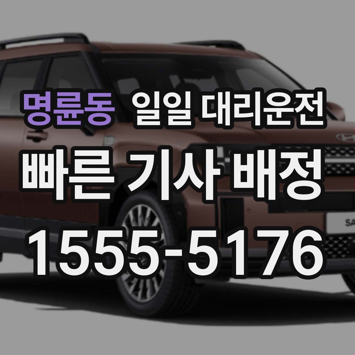 명륜동 일일 대리운전