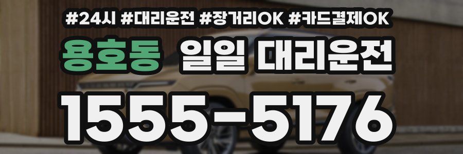 용호동 일일 대리운전
