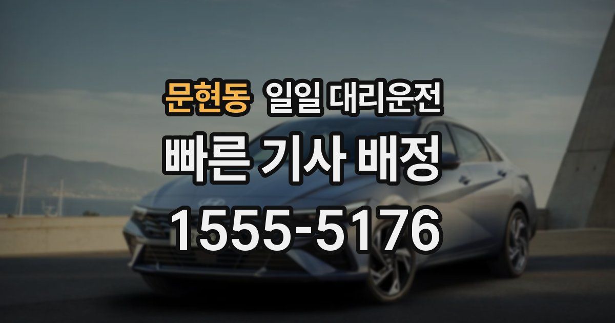 문현동 일일 대리운전