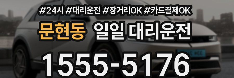 문현동 일일 대리운전