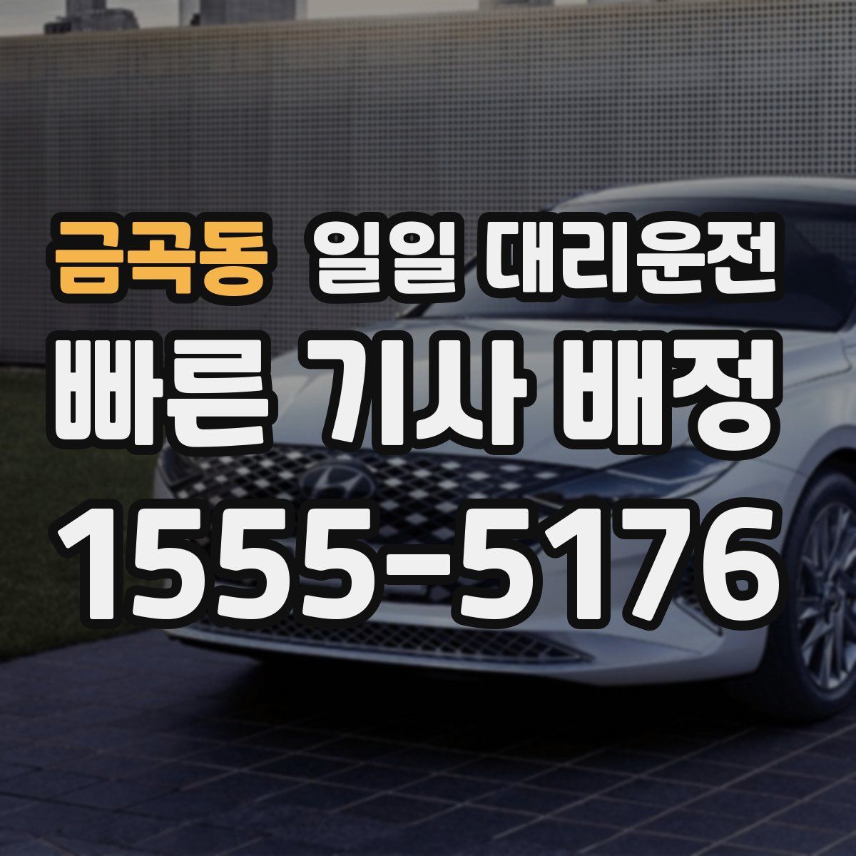 금곡동 일일 대리운전