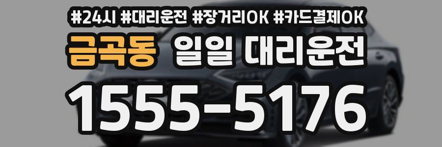 금곡동 일일 대리운전