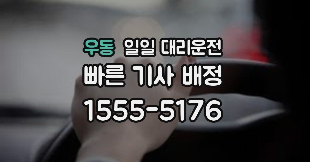 우동 일일 대리운전