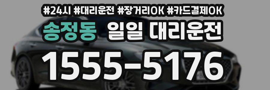 송정동 일일 대리운전