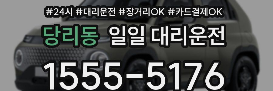 당리동 일일 대리운전