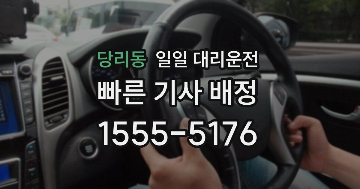 당리동 일일 대리운전