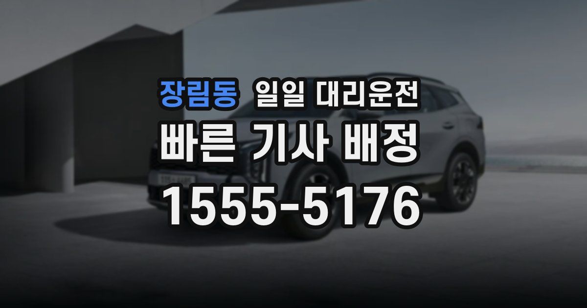 장림동 일일 대리운전