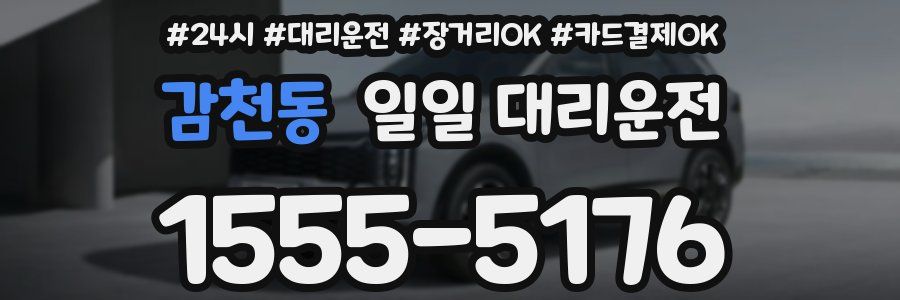 감천동 일일 대리운전