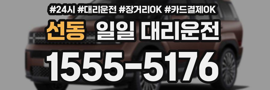 선동 일일 대리운전