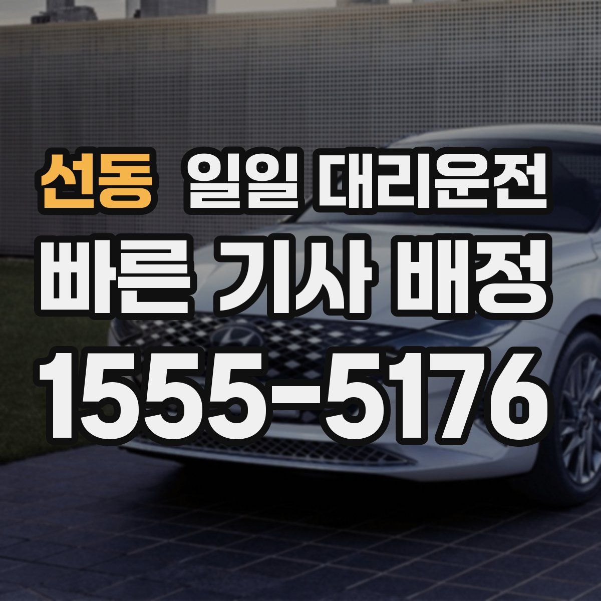 선동 일일 대리운전