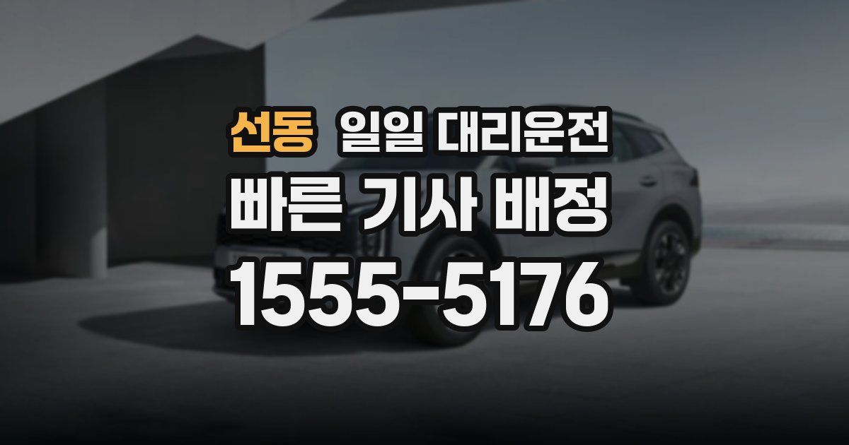 선동 일일 대리운전