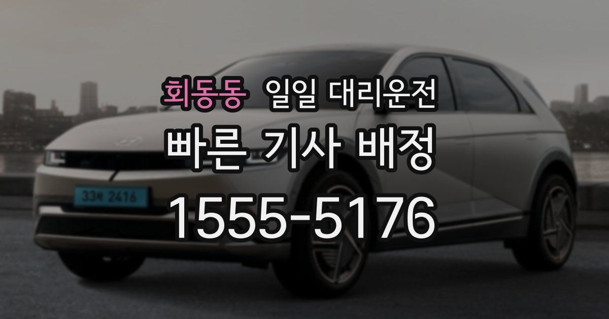 회동동 일일 대리운전