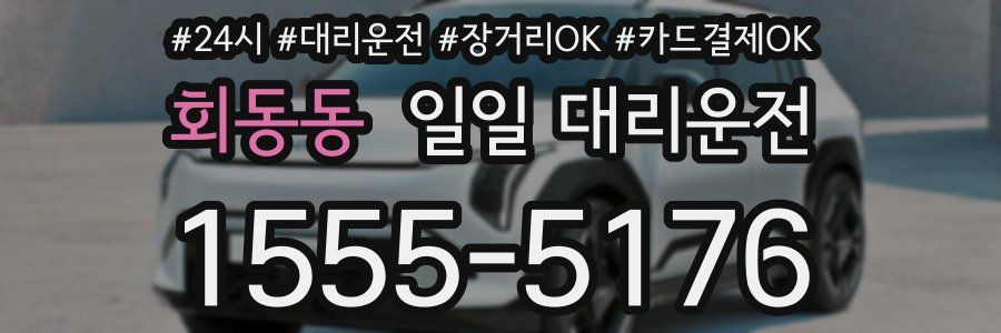 회동동 일일 대리운전