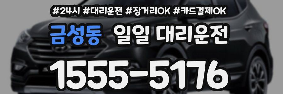 금성동 일일 대리운전