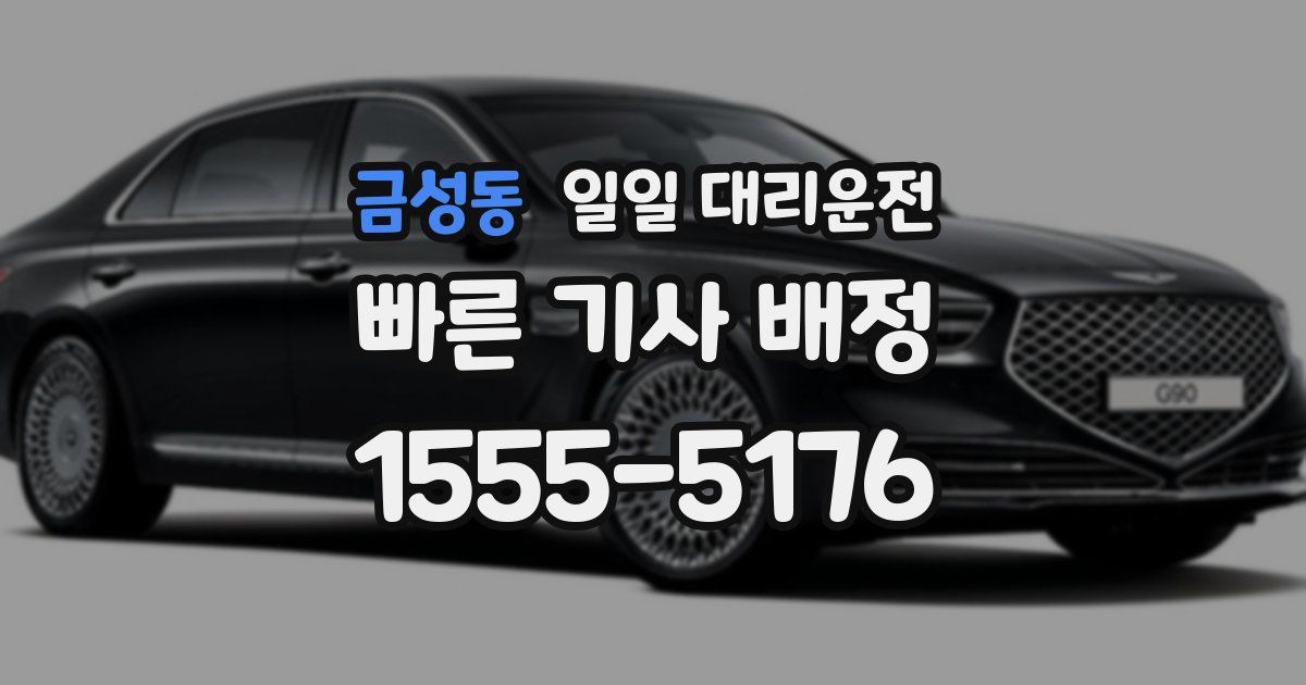 금성동 일일 대리운전