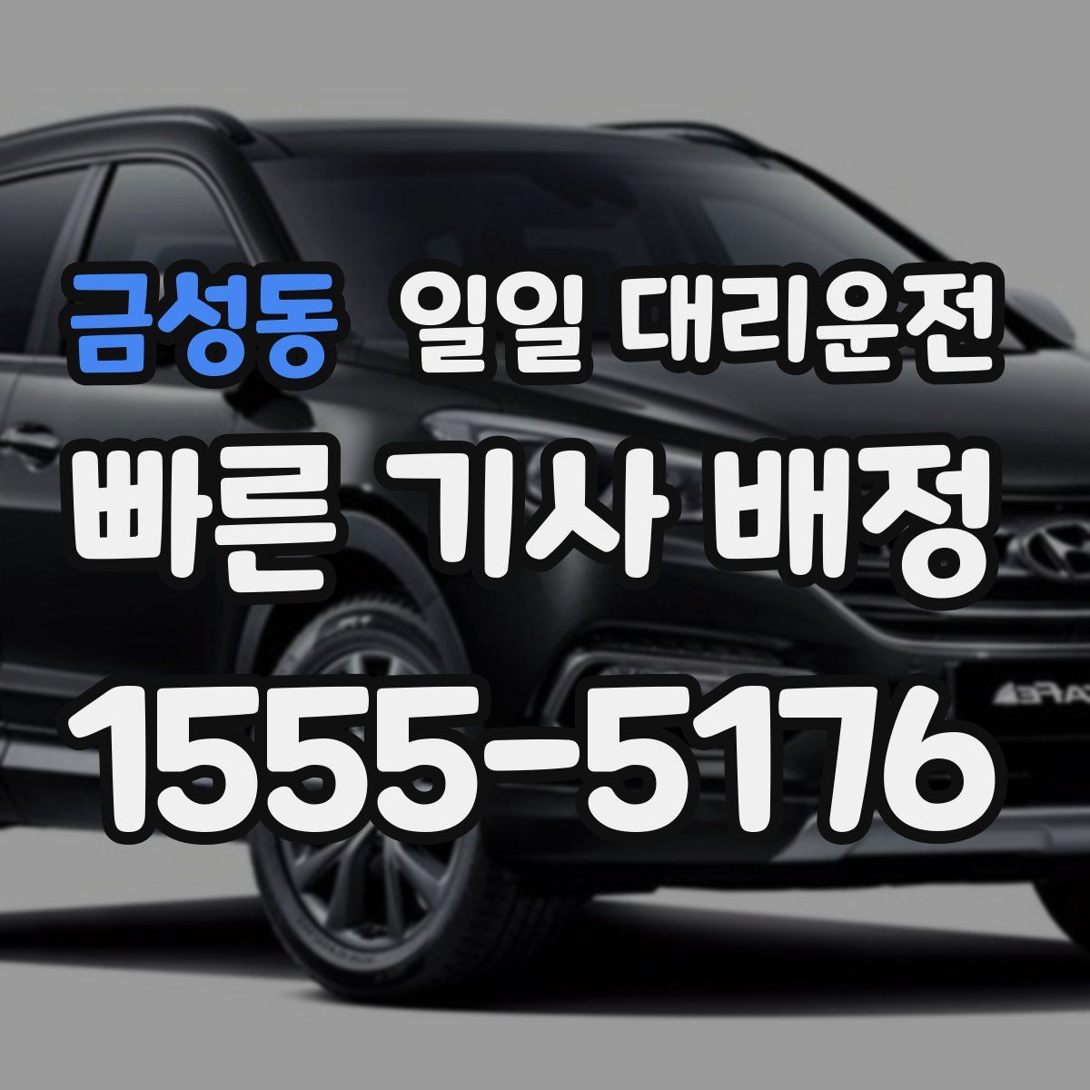 금성동 일일 대리운전