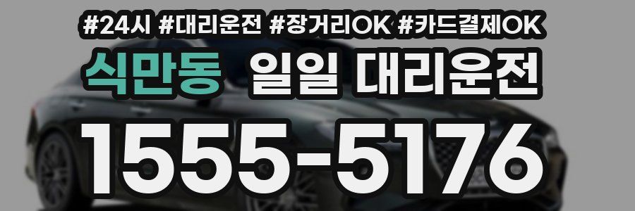 식만동 일일 대리운전