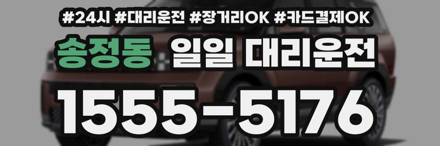 송정동 일일 대리운전