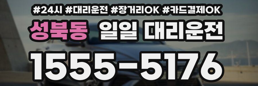 성북동 일일 대리운전