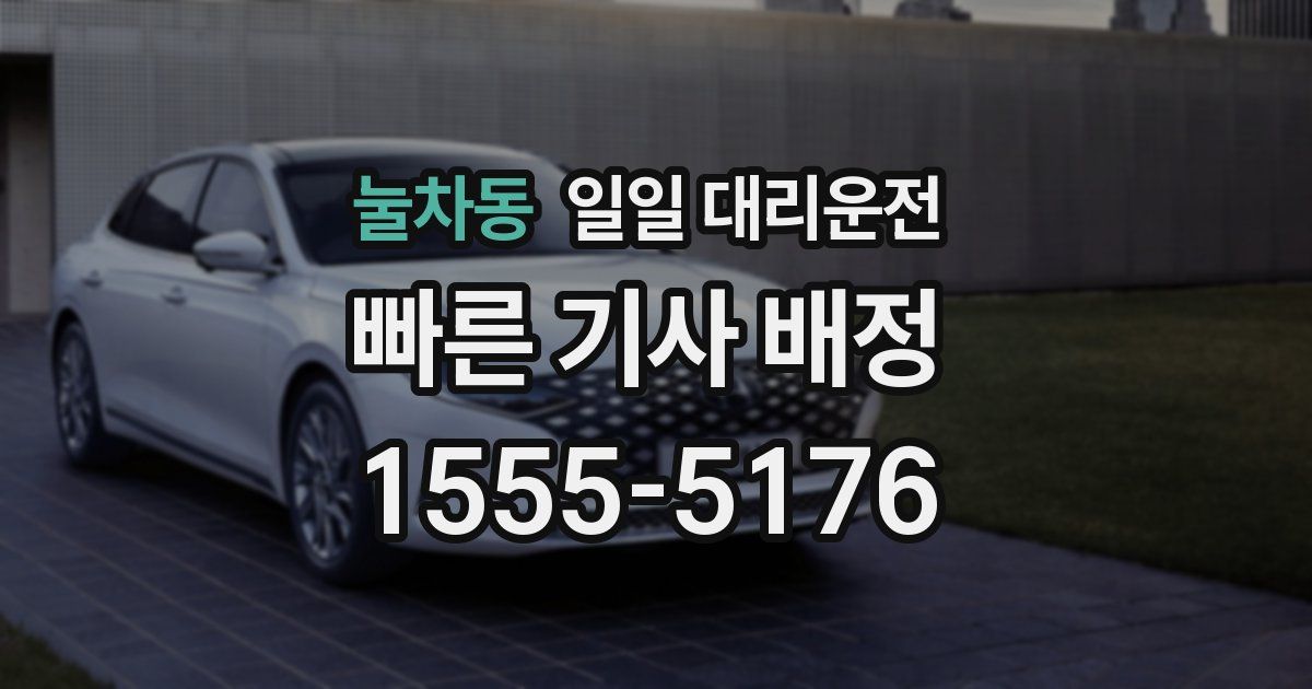 눌차동 일일 대리운전