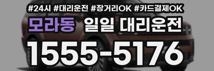 모라동 일일 대리운전