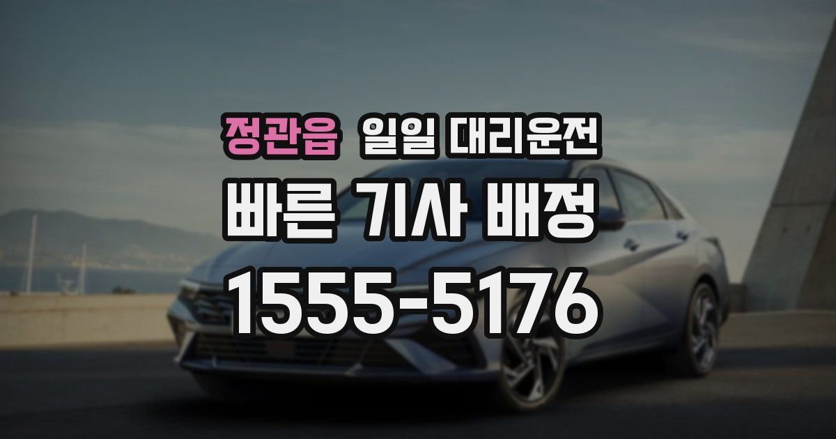 정관읍 일일 대리운전