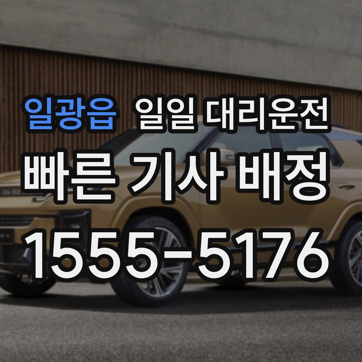 일광읍 일일 대리운전